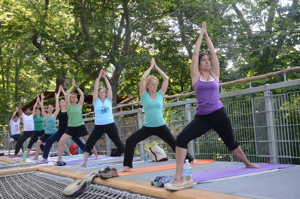 Tree Pose in the Treetops at the Morris Arboretum & Gardens Morris Arboretum & Gardens